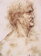 LEONARDO da Vinci Profile one with book leaves gekroten of old man china oil painting artist
